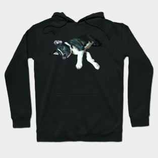 sleepy black dog-vector art Hoodie